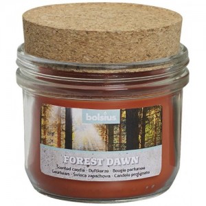 Αρωματικό Κερί σε Γυάλινο Βάζο Forest Dawn